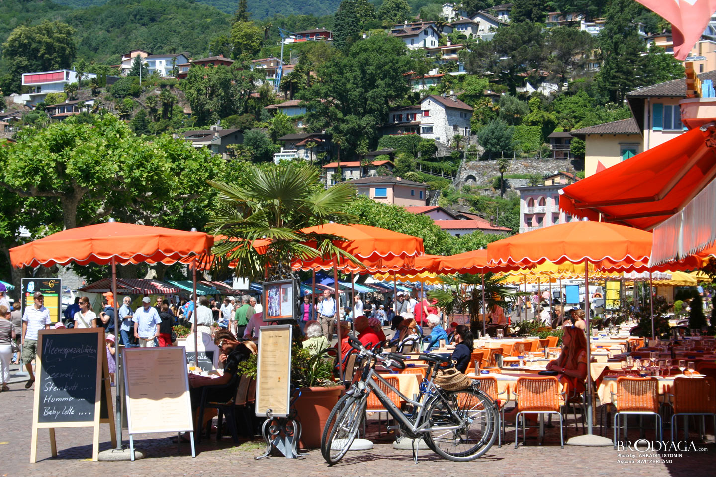 Ascona